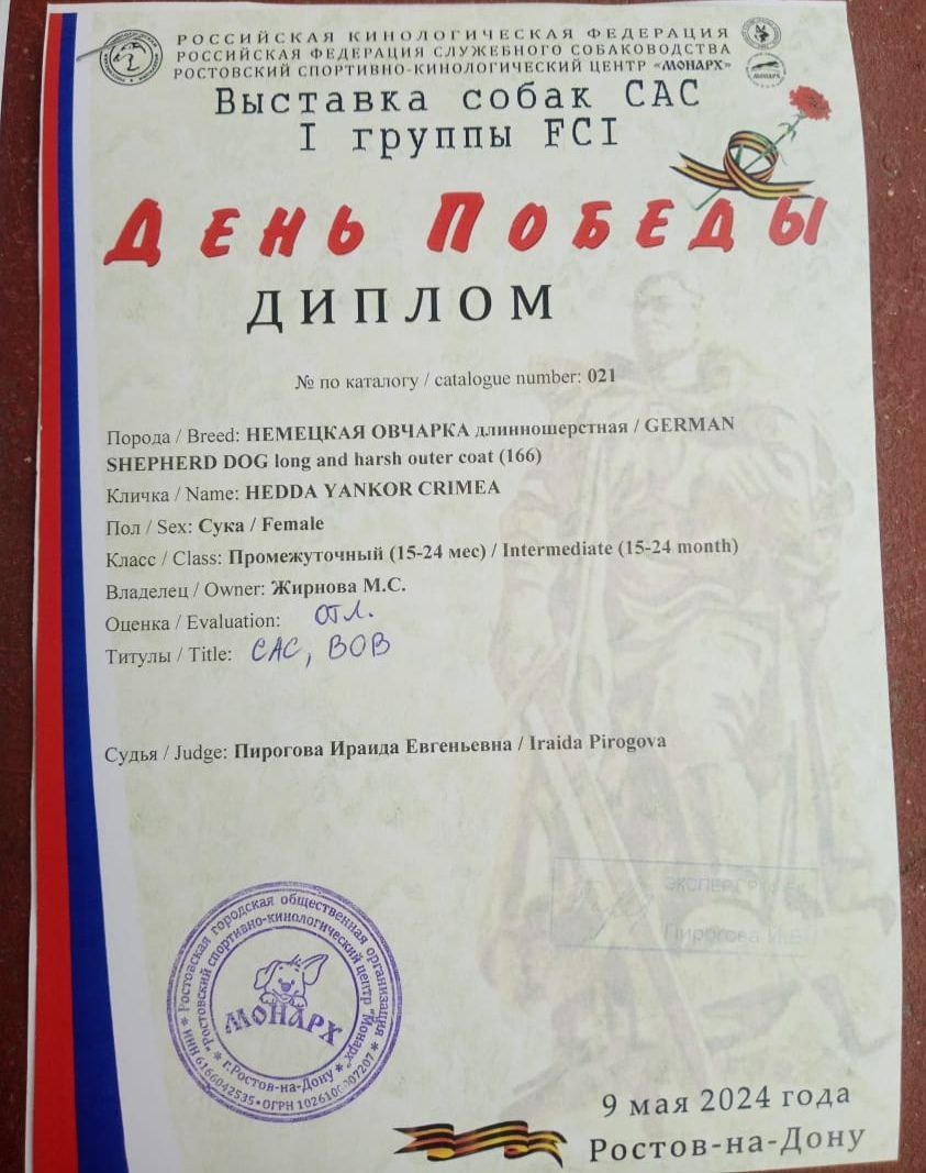 9 мая День Победы_диплом.jpg